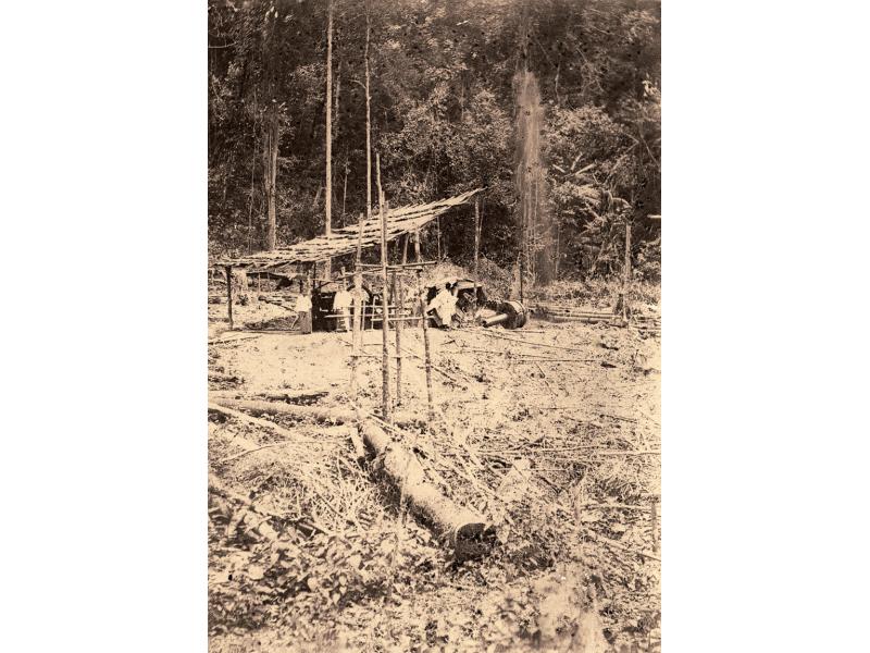 Two people stand under a shelter made from four poles and a thatched roof. There is oil gushing up from a well to their right. There is a large log in the foreground and there are trees in the background.