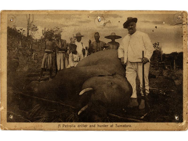 William McRae and an elephant that he has hunted. He is holding a rifle and there are six Sumatran men standing behind him. "A Petrolia driller and hunter at Sumatra," is written across the bottom.