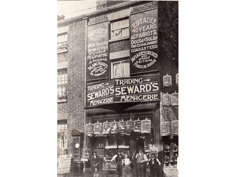A brick building with birdcages hanging from the top of the windows and along ropes strung across to the next building. There is a group of people outside. Signs on the store front advertise "Trading - Seward's Menagerie" and the animals they sell.