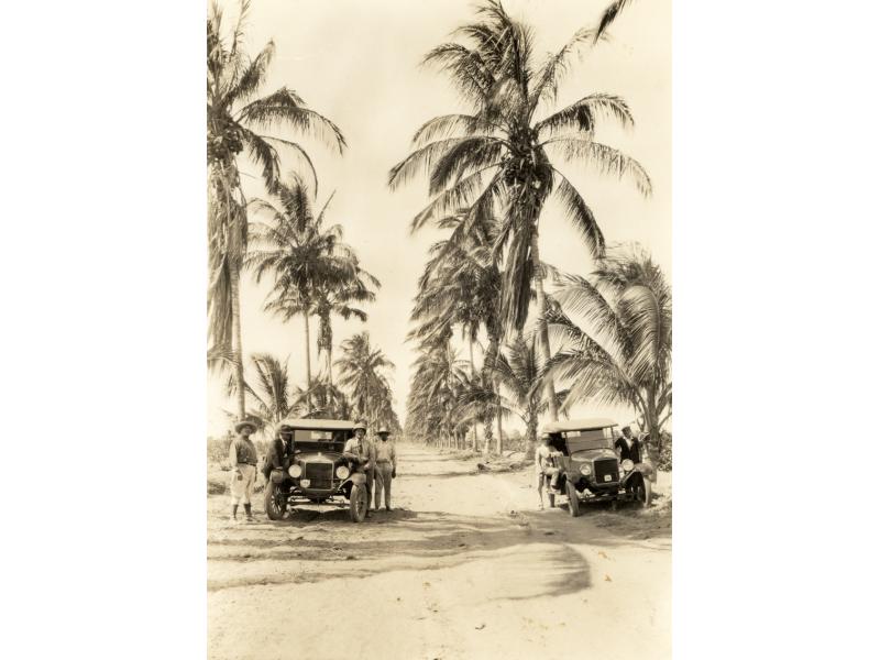 A photo of two cars parked on either side of a dirt road lined with palm trees. A group of men is leaning on each of the cars.