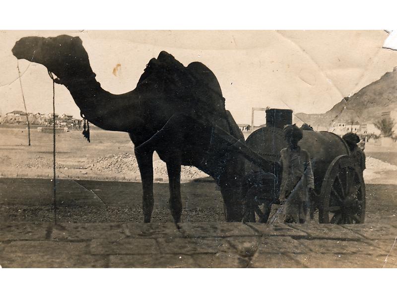 A photo of a camel with two humps being led by a boy and pulling an oil boiler on a cart with two wheels. There are buildings and a hill in the background.
