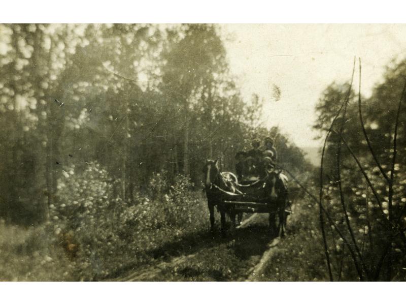 Six people sit in a wagon pulled by two horses. They are moving down a road with two ruts for the wheels. There are trees on either side of the road.