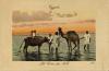 A postcard with two children sitting on an ox held by a man. Two men are also holding a camel. They are standing up to their ankles in water. There is an orange sky in the background. The card reads: "Egypte. La Crue du Nil."