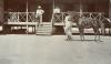 Photographie montant William Gillespie et Albert Gibson sur une véranda en Birmanie. L’avant-plan de l’image montre un homme de la région avec un cheval. 