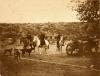 Three men on horses. There are three dogs in front of them and a long pipe that is half-buried. A fourth man sits in a car to the right. There is a hill with bushes on it in the background.