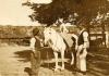 A photo of a white dog sitting on a white horse. There is a man on either side of the horse. There is a tree just behind them and hills in the background.