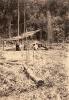 A photo of two workers stand in front of a well with a thatched roof over top of it. There is a log in the foreground and trees in the background. 