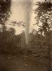 A photo of oil gushing out of a narrow pipe in a clearing. There are trees in the background.  