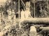 William McRae standing in the jungle with a woman and two native children. Felled trees occupy the foreground and a roughly built structure of timbers appears in the back.