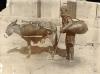 A photo of a man carrying a large sack beside a grey donkey. The man is holding a cane and the donkey has a wooden frame on its back, holding a bundle. They are in front of a stone building.