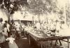 A photo of a group of people around a long table covered with a tablecloth, dishes, and food, underneath a tree with a building in behind. There are benches on either side.