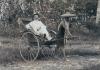 Un foreur international portant un chapeau et un costume blanc dans un pousse-pousse à deux roues tiré par un homme de la région. L'homme porte un grand chapeau de paille et un morceau de tissu autour de ses épaules. La voilure du pousse-pousse est fermée. Ils sont devant des arbres. 