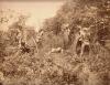 A photo of six Dayak men holding spears and shields, standing around a slain man in a patch of vegetation. They are wearing pieces of cloth around their waists and scarves around their heads. 