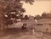 A photo of a bungalow up on a hill surrounded by trees. There is a cart sitting on the road adjacent to the property.  