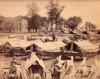 Photo d'un groupe de bateaux le long de la rive, avec des couvertures faites de roseaux. Il y a un grand bâtiment avec des fenêtres et des portes voûtées à l'arrière-plan, avec un groupe d'arbres. 