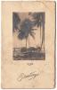 The front of a Christmas card that shows an image of palm trees, two cars, and a person in front of the ocean. It says: "Trinidad B.W.I. Greetings".  
