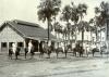 A photo of seven International Drillers lined up on horses facing right. They are wearing pith helmets. There is a buildings with large tiles in the background, and a group of palm trees.