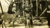 A photo of a man wearing a dark suit standing behind a baby donkey. An adult donkey stands to the left. There is an oil rig with metal and wood supports behind them.