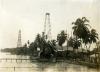 Two oil rigs beside the water. There are three docks coming out from the shore line and palm trees along the edge of the water. There is a wooden roof over a large wheel beside the rig on the right.